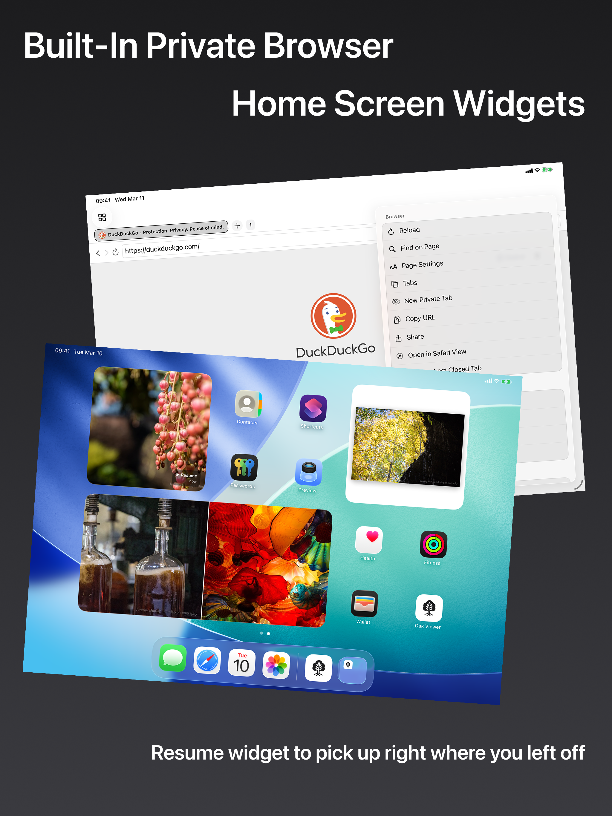 Oak Viewer built-in browser and widgets